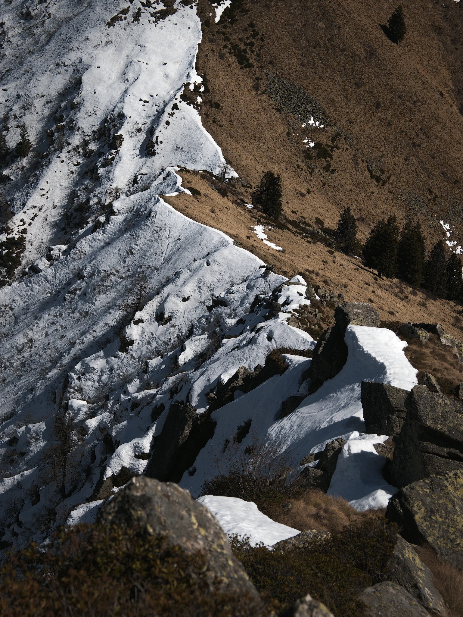 The Ridge