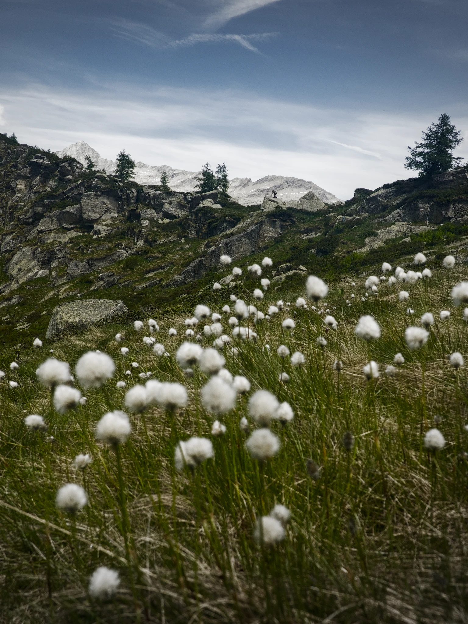 Passo tignaga